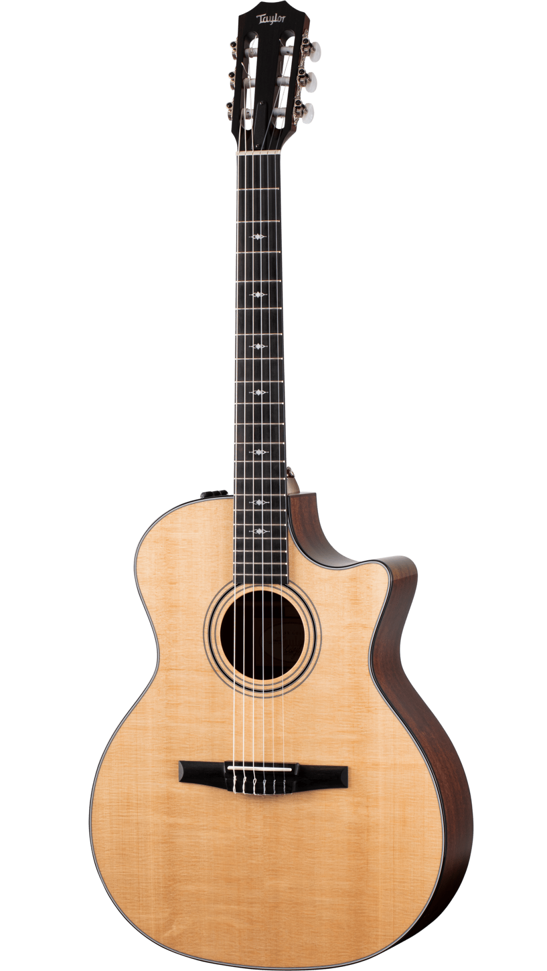 Taylor 314CE-N