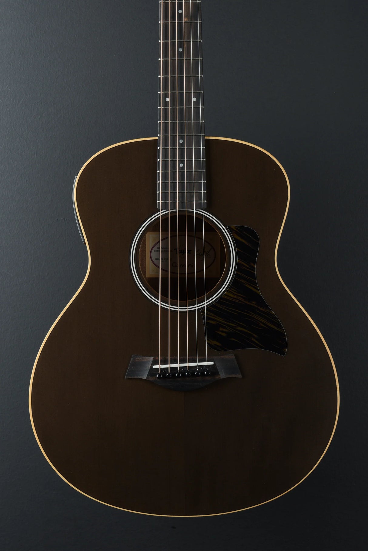 GS Mini-e Special Edition, Trans Black