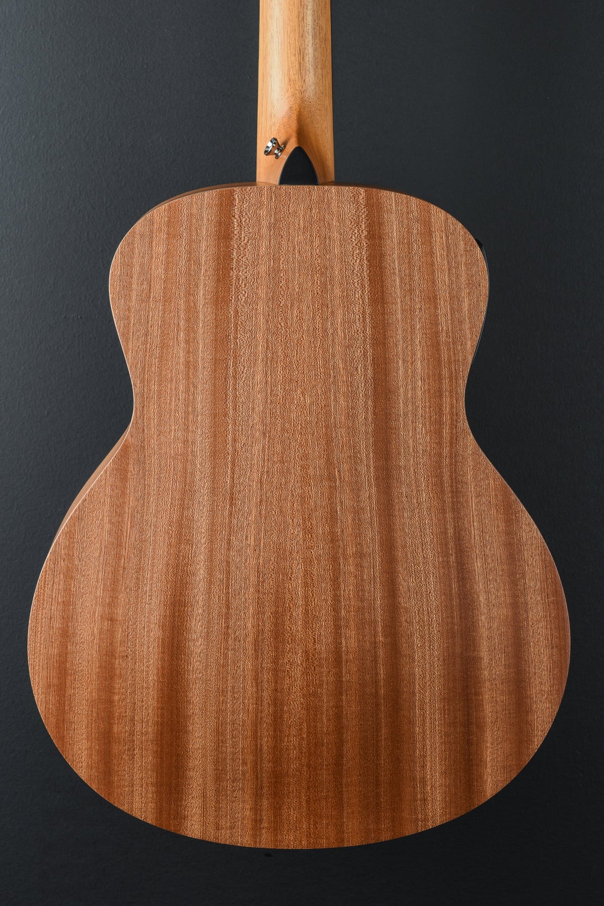 GS Mini-e Special Edition, Trans Black