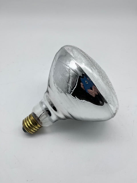 Chauvet PAR38 Bulb