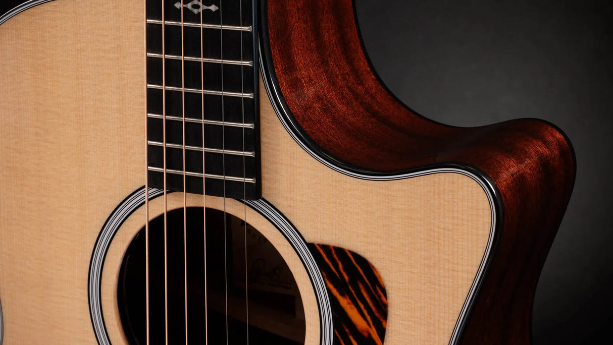 Taylor 314CE Next Generation Natural with Case