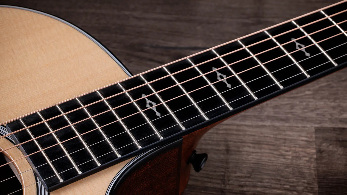 Taylor 314CE Next Generation Natural with Case