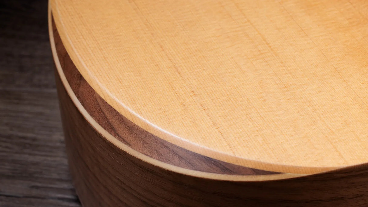 Taylor Academy 10e Dreadnought Acoustic/Electric, Spruce & Sapele