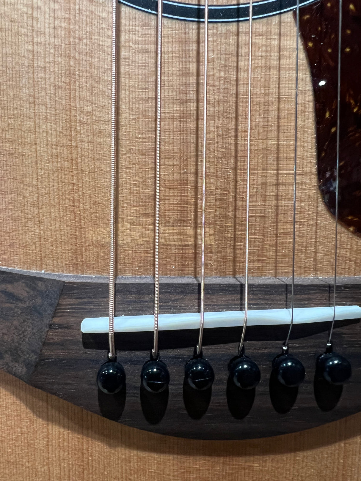 Taylor Big Baby Taylor BBT - Natural (Floor Stock Slight Wear)