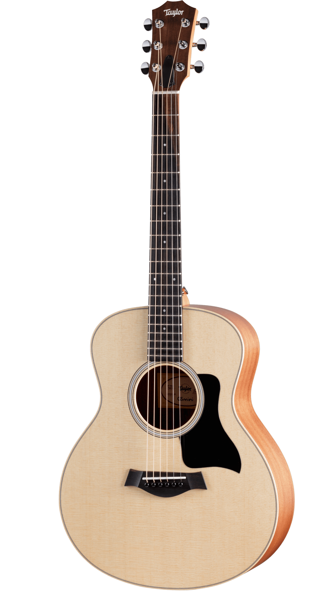 Taylor GS Mini Sapele Sitka