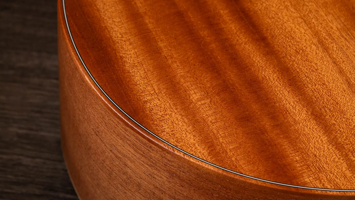 Taylor GS Mini-E Mahogany Spruce with Bag