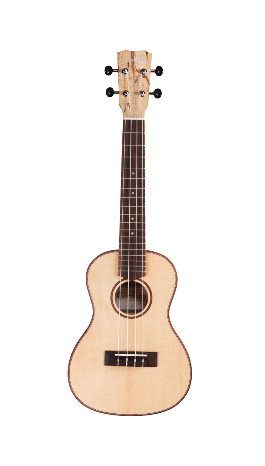 Cordoba 24C Concert Ukulele, Natural Spruce