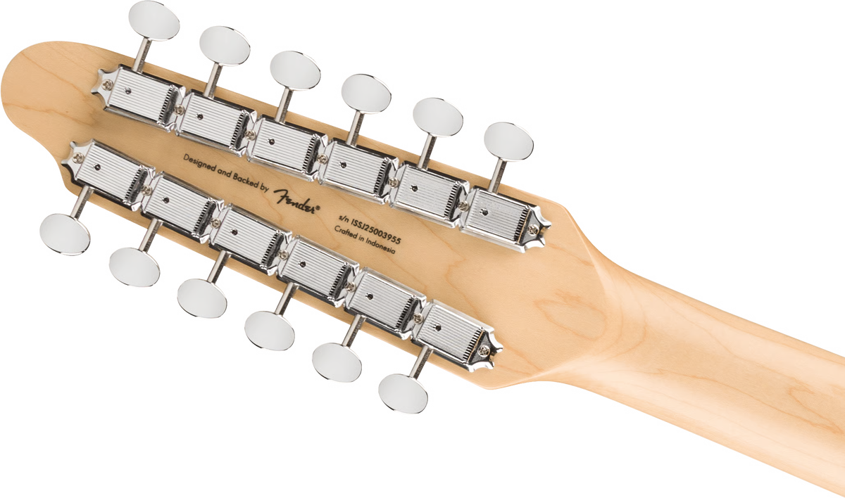 Squier Paranormal Troy Van Leeuwen Telecaster XII