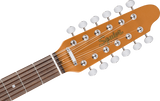 Squier Paranormal Troy Van Leeuwen Telecaster XII