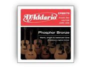 D'Addario EPBB170 45-100 Regular Light, Long Scale, Phosphor Bronze Acoustic Bass Strings