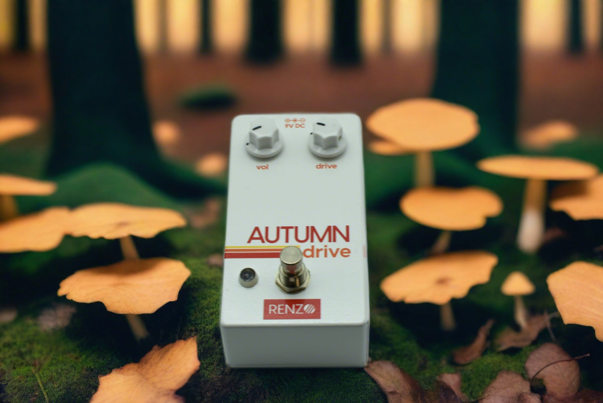 Used Renzo Autumn Overdrive Pedal
