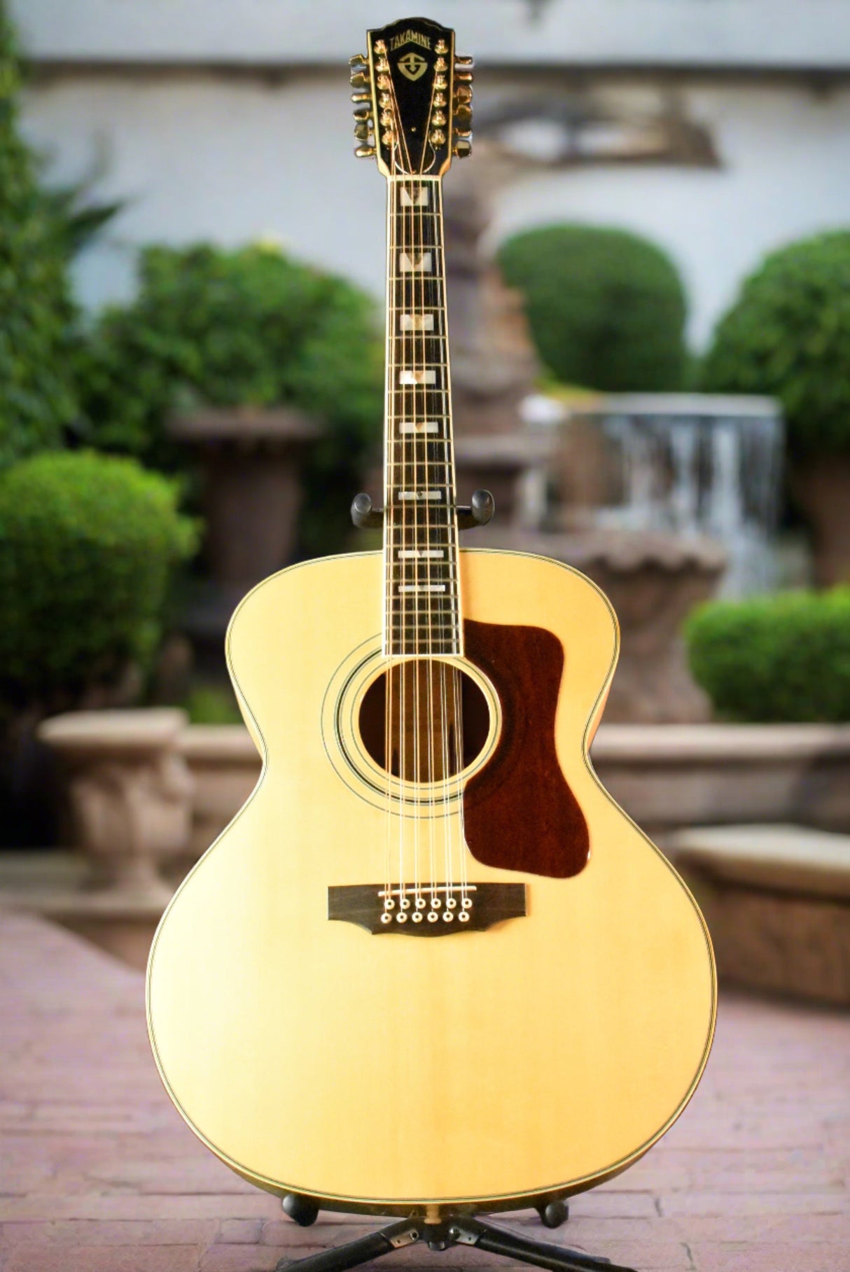 Used Takamine F325 12-String Acousitc - Natural