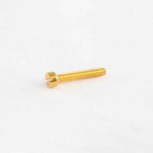 Allparts GS-5453-002 Humbucker Pole Piece Screws - Gold