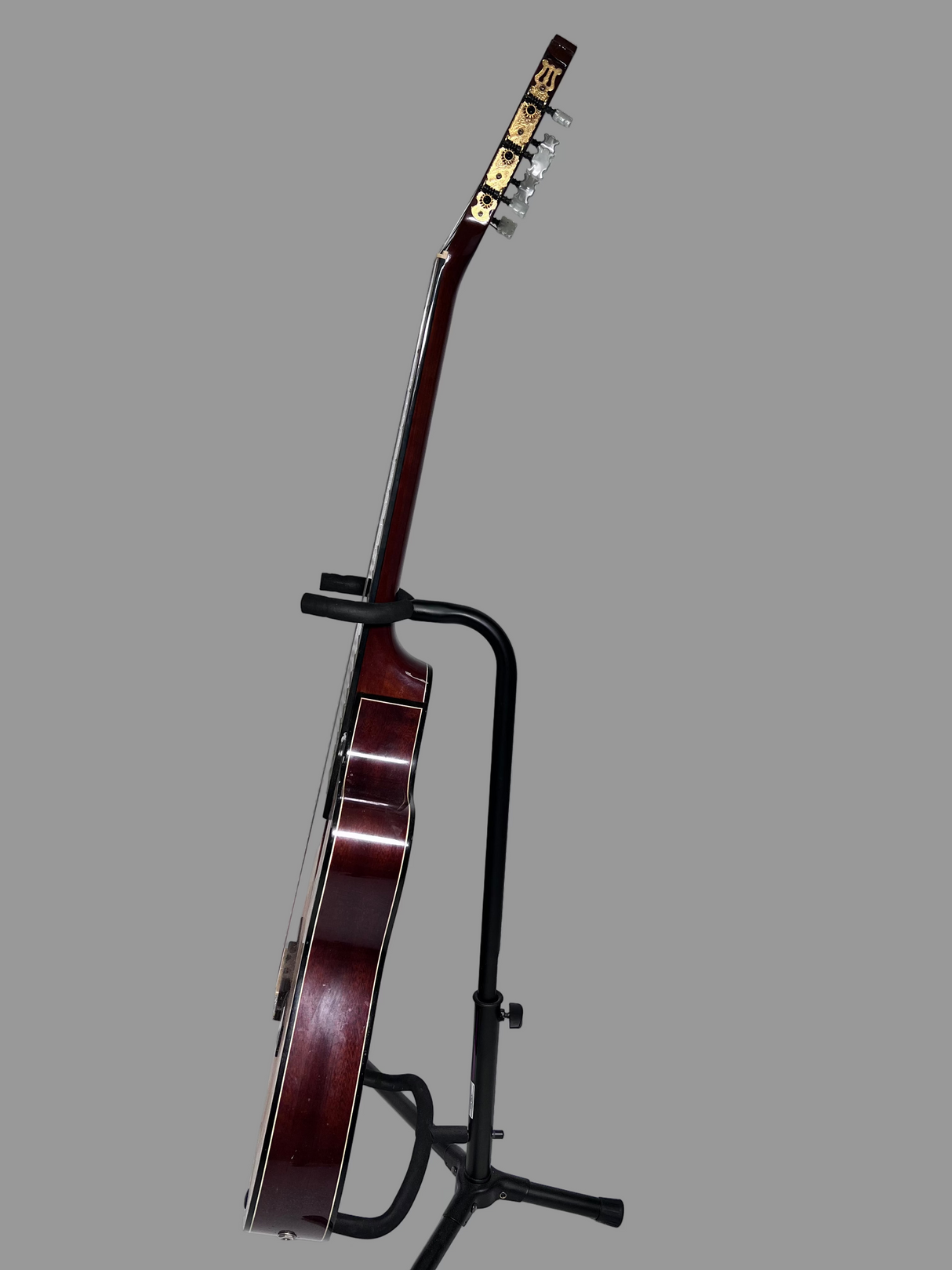 Used Salvadore Ibanez GASTCE-14-02 Nylon String Electric