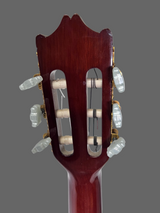 Used Salvadore Ibanez GASTCE-14-02 Nylon String Electric