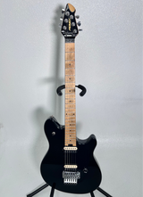 Used Peavey EVH Wolfgang Special W/Hard Case