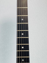 Used Gibson Les Paul Firebrand- The Paul Deluxe W/Hard Case