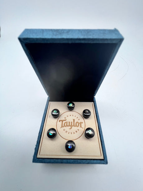 Taylor Bone Brown w/Abalone Bridge Pin Set 7260-5