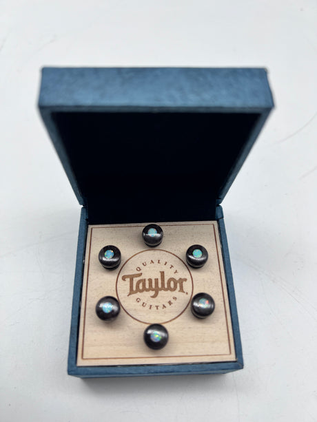 Taylor Bone Brown w/White Opal Bridge Pin Set 7260-6