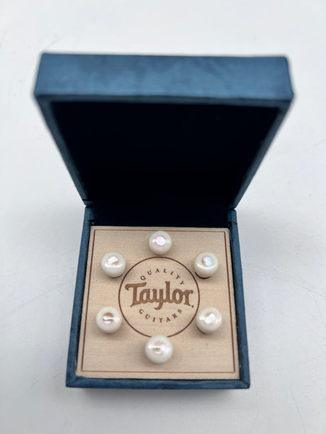 Taylor Bone White w/Awabi Shell Bridge Pin Set 7260-7