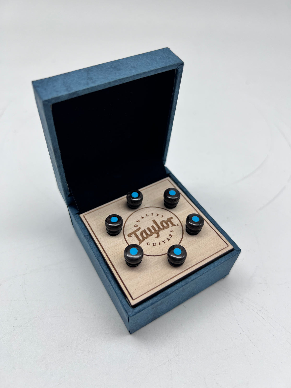 Taylor Bone Brown w/Turquoise Bridge Pin Set 7260-8