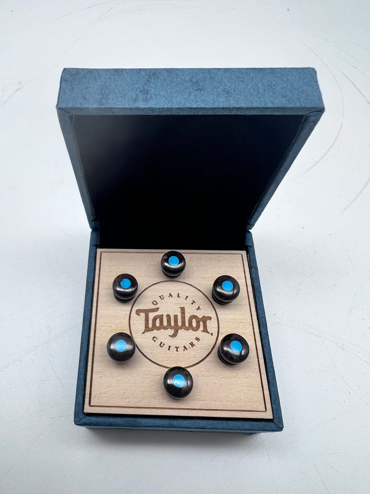 Taylor Bone Brown w/Turquoise Bridge Pin Set 7260-8
