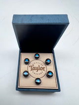 Taylor Bone Brown w/Turquoise Bridge Pin Set 7260-8