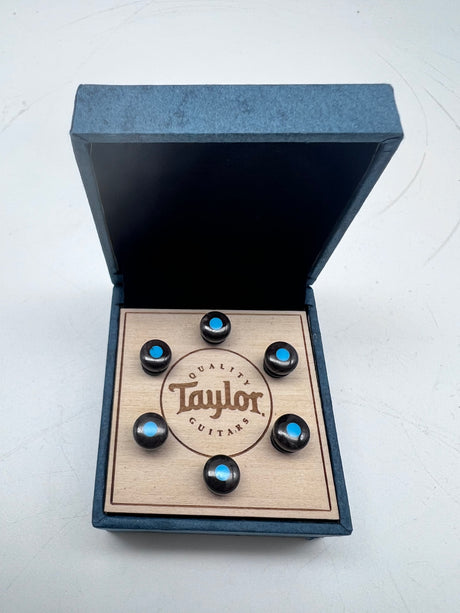 Taylor Bone Brown w/Turquoise Bridge Pin Set 7260-8