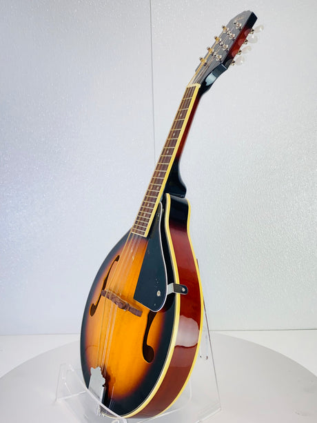 Used Fender FM-100 Mandolin W/Bag , Book, Strap plus extra Strings