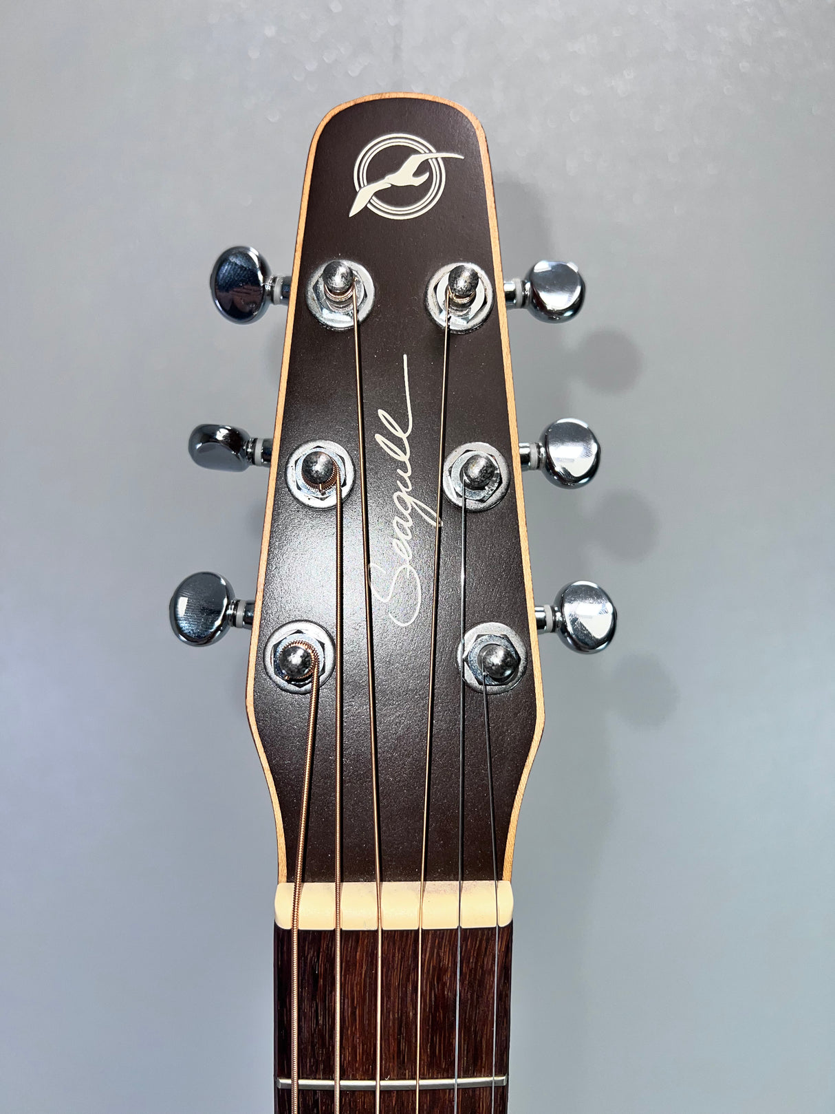 Used Seagull Coastline S6 Spruce Acoustic