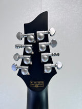 Used Schecter Damien Platinum & 8 String Super Strat W /Hard Case