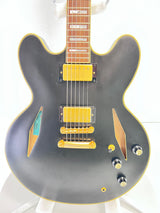 Used Epiphone Emily Wolfe Sheraton