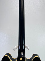 Used Epiphone Emily Wolfe Sheraton