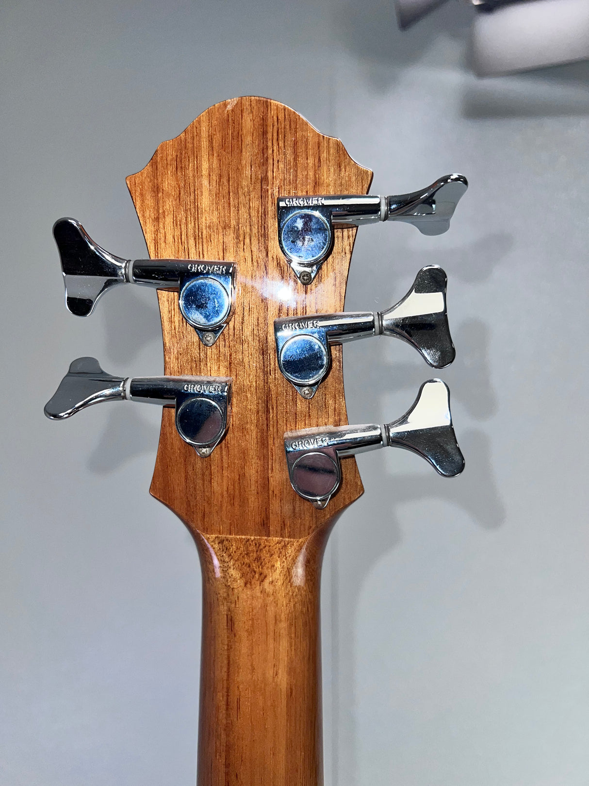 Used Michael Kelly Dragonfly 5FLN