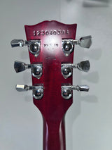 Used Gibson Les Paul Traditional Pro V  w/Hard Case