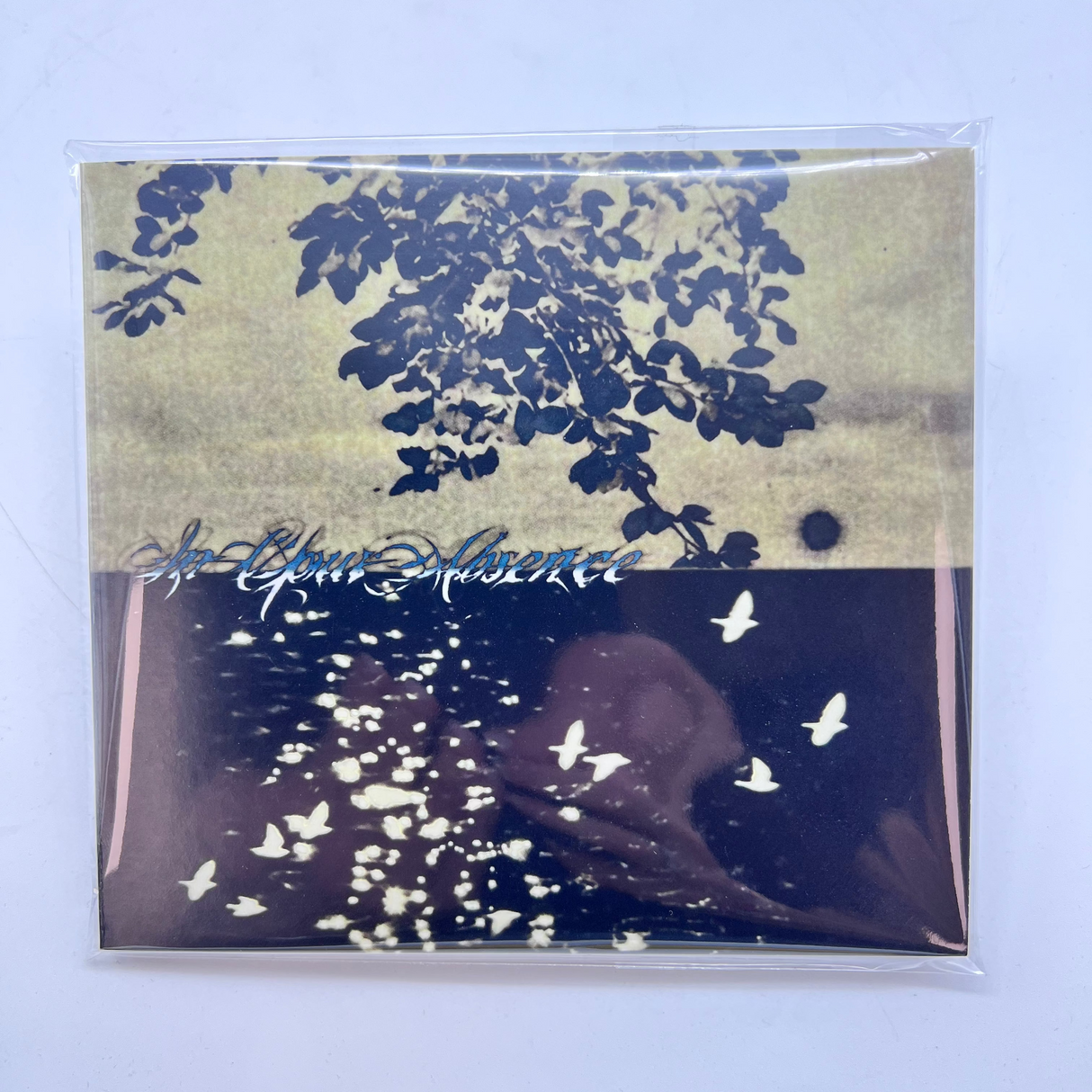 In Your Absence - New organs, Same Birds