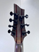 Used Schecter C7 FR-S Apacolypse 7 String