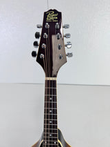 Used Rogue RM-100A Mandolin Sunburst W/Bag