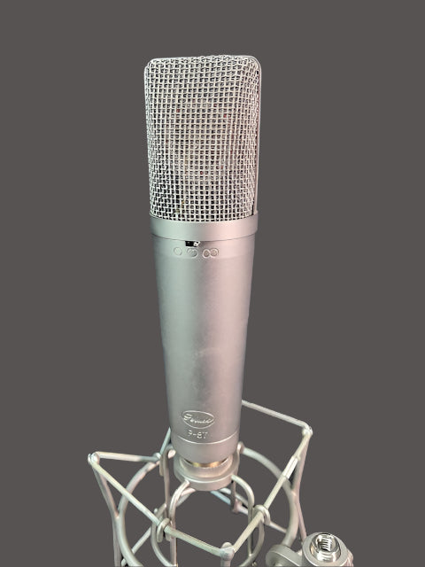Used Peluso P-87 Multi-Pattern Microphone w/Case & Shockmount - Silver
