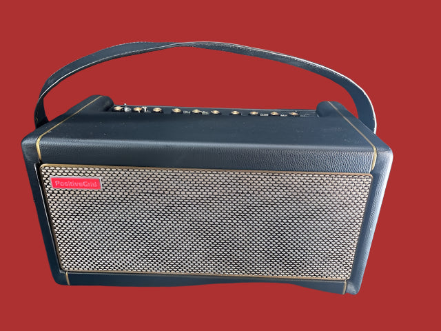 Used Positive Grid Spark 40 Portable Amp