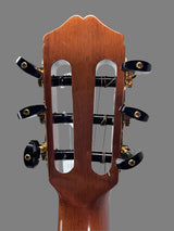 Used Cordoba 45CO Classical Guitar