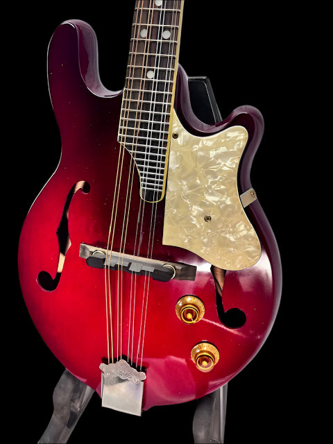 Used Fender FM62SCE AC/El Mandolin