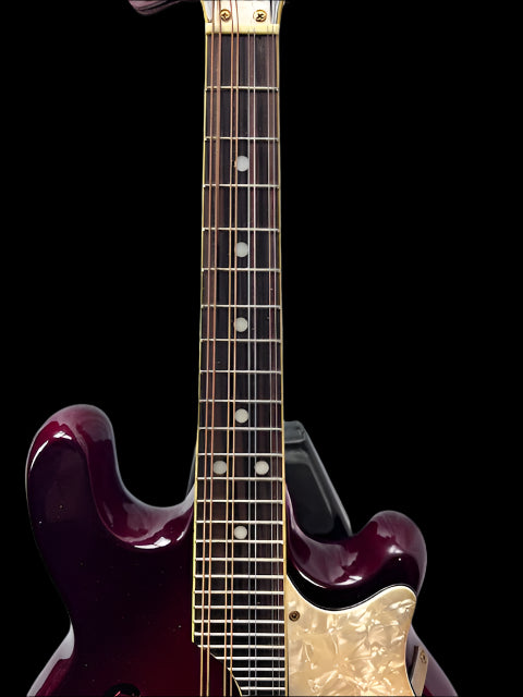 Used Fender FM62SCE AC/El Mandolin