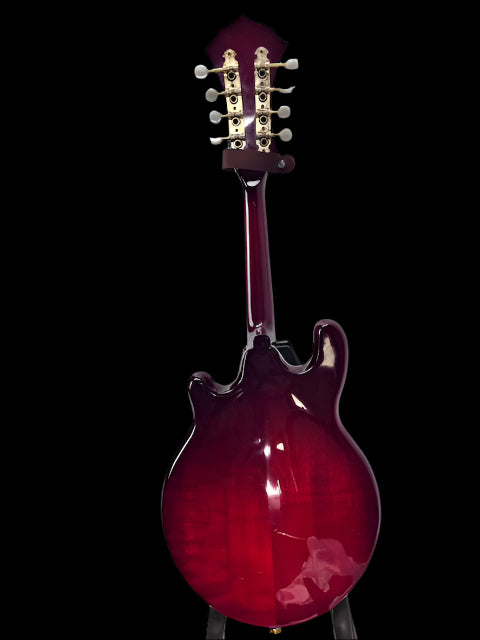 Used Fender FM62SCE AC/El Mandolin
