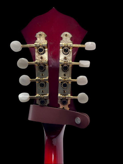 Used Fender FM62SCE AC/El Mandolin