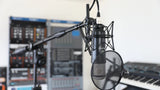 Ultimate Support MC-125 Professional Studio Boom Stand