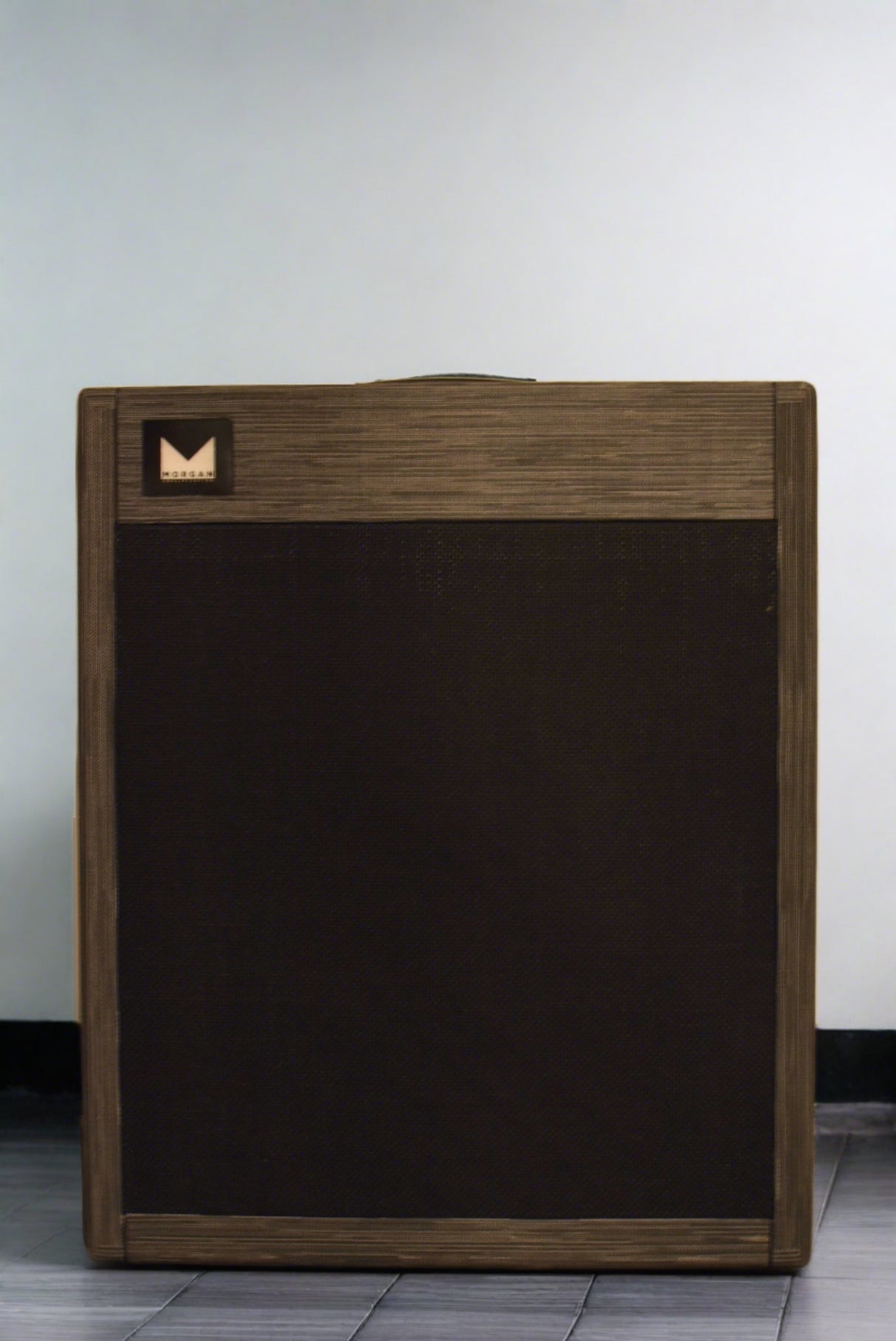Used Morgan MV212V Amplifier Cabinet