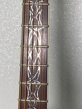 Used ESP LTD AX-350 W/ Hard Case