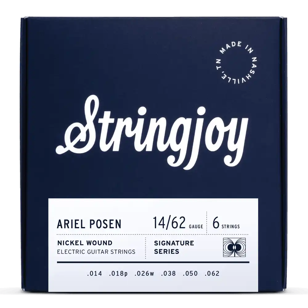 Stringjoy 14-62 Ariel Posen Artist Series Signatures - Nickel Wound Electric Guitar Strings