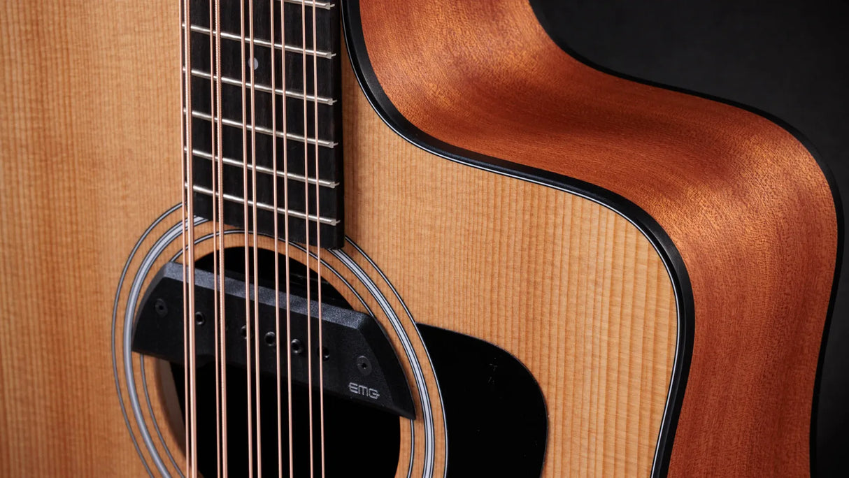 Taylor 150ce Bajo Quinto